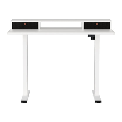 Artiss 120cm Electric Standing Desk with Storage Drawer