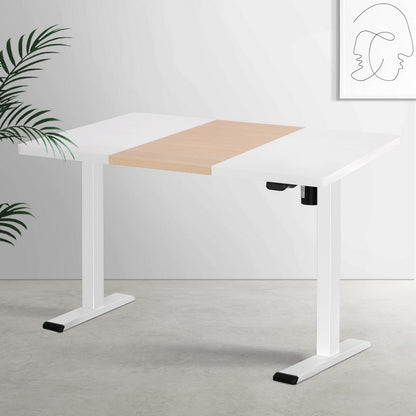 Artiss 120cm Motorized Sit-Stand Desk