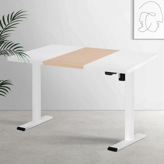 Artiss 120cm Motorized Sit-Stand Desk